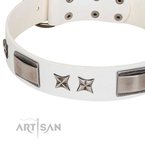 Quality full grain natural leather dog collar with reliable hardware