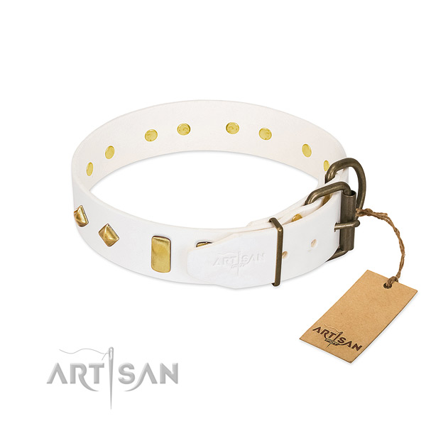 Reliable natural leather dog collar with reliable buckle