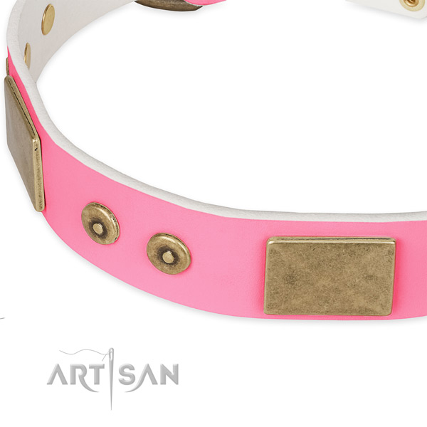 Full grain leather dog collar with decorations for walking