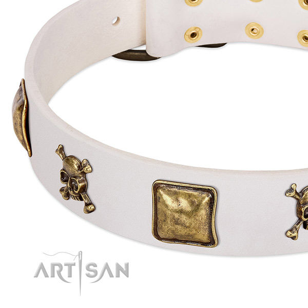 Incredible full grain natural leather dog collar with reliable decorations