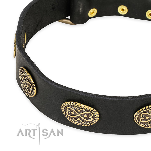 Awesome leather collar for your lovely pet