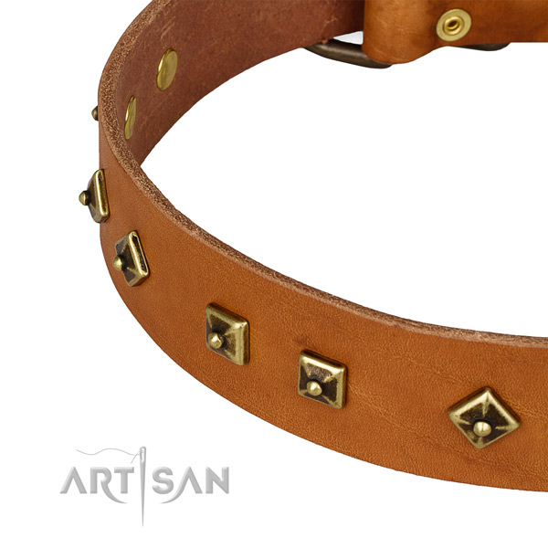 Unusual full grain genuine leather collar for your lovely canine