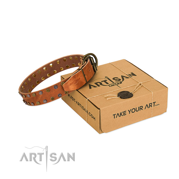 Walking high quality full grain leather dog collar with studs