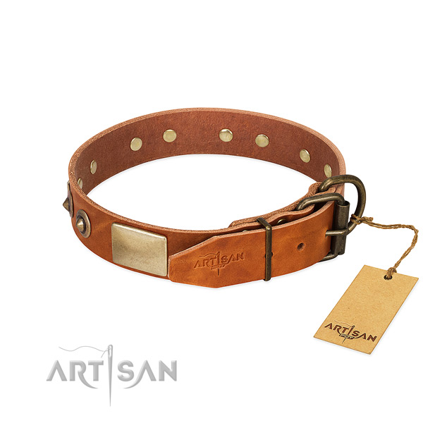 Strong decorations on daily use dog collar