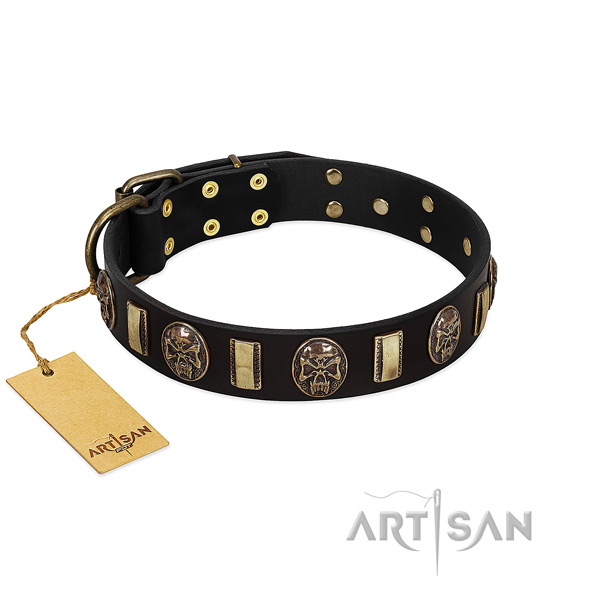 Trendy genuine leather dog collar for everyday use