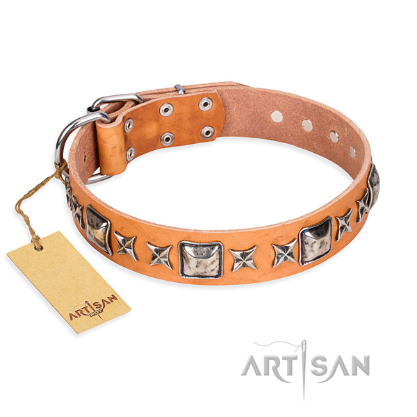 Comfy wearing dog collar of quality full grain natural leather with studs