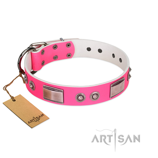 Handmade full grain leather collar with studs for your four-legged friend