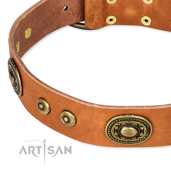 Full grain leather dog collar made of flexible material with decorations