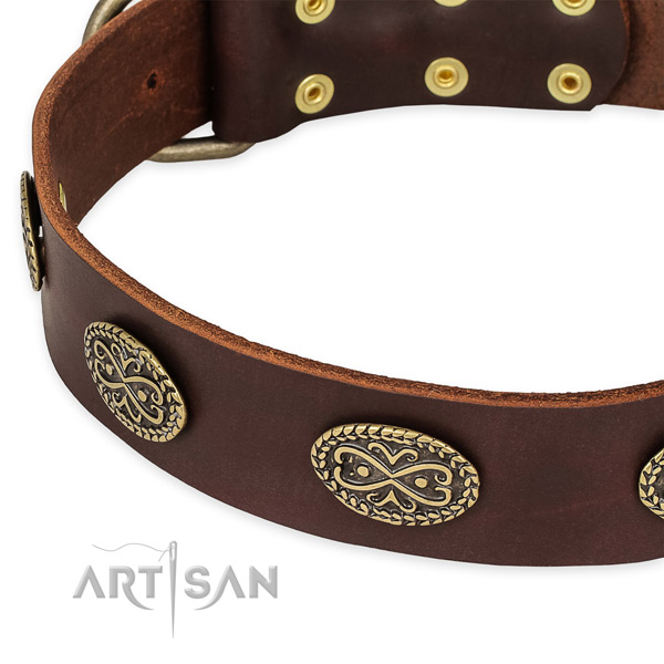 Handcrafted leather collar for your attractive pet