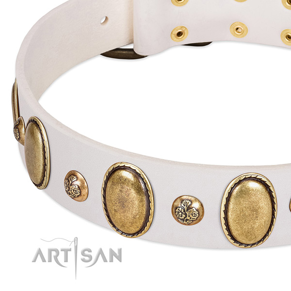 Full grain natural leather dog collar with significant adornments