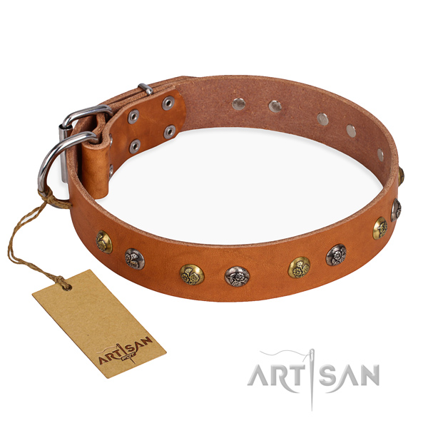 Daily use easy wearing dog collar with reliable buckle