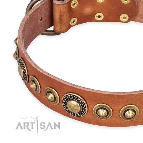 Top notch genuine leather dog collar handmade for your handsome dog