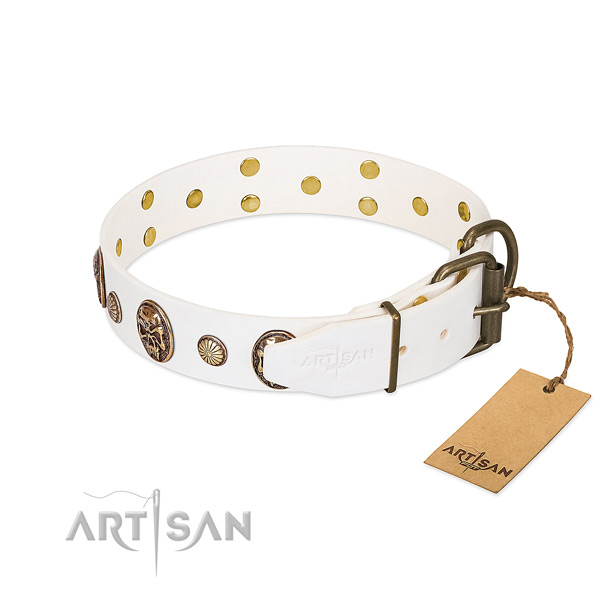 Rust-proof fittings on natural genuine leather collar for walking your dog