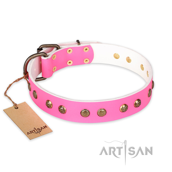 Top notch full grain natural leather dog collar with corrosion resistant hardware