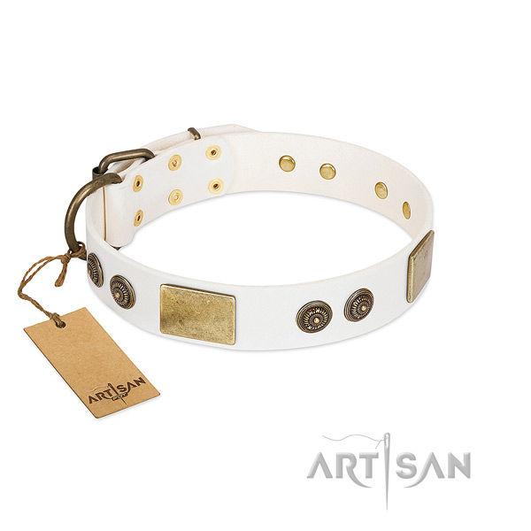 Fashionable full grain leather dog collar for everyday use