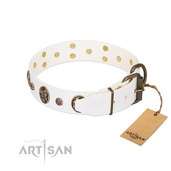 Strong studs on leather dog collar for your doggie
