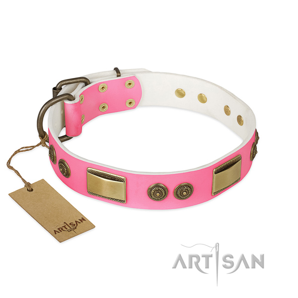 Stunning natural genuine leather dog collar for stylish walking