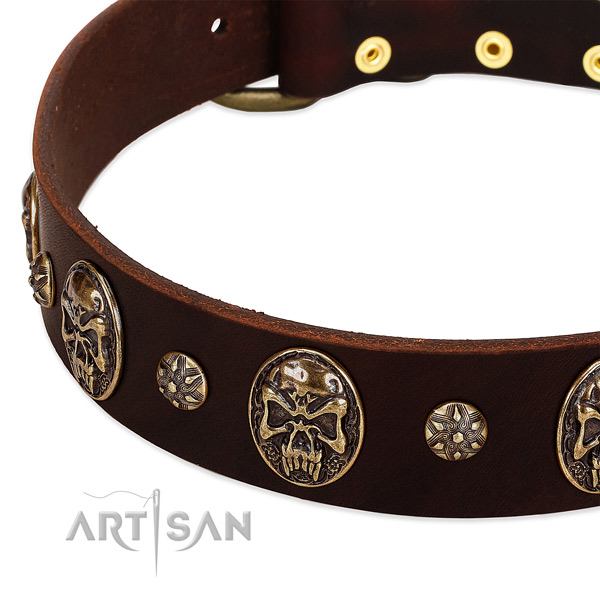 Corrosion resistant buckle on full grain leather dog collar for your four-legged friend