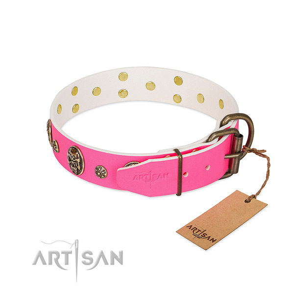 Durable fittings on genuine leather collar for basic training your dog