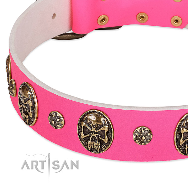 Convenient dog collar handcrafted for your attractive pet