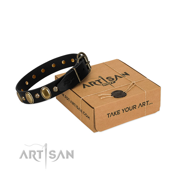 Reliable buckle on leather dog collar for daily walking