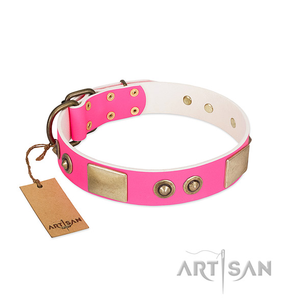 Rust-proof decorations on genuine leather dog collar for your canine