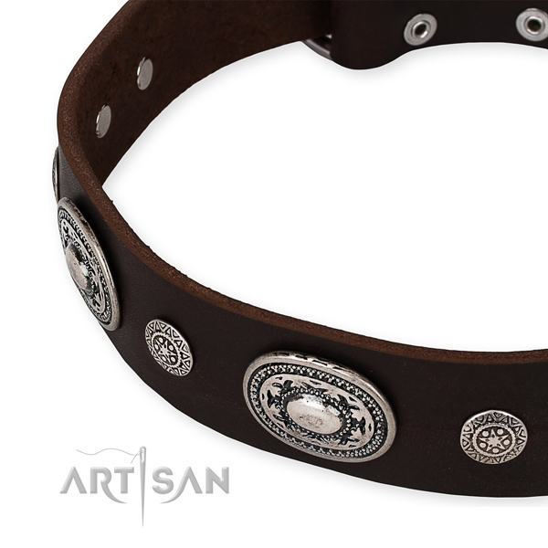 Durable full grain natural leather dog collar handmade for your beautiful four-legged friend