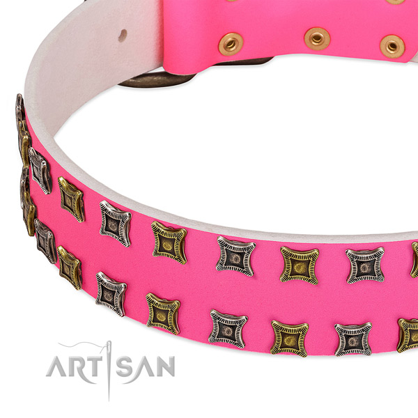 Full grain leather dog collar with embellishments for your beautiful four-legged friend
