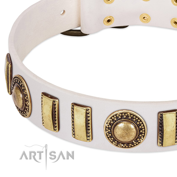 Reliable genuine leather dog collar with reliable traditional buckle
