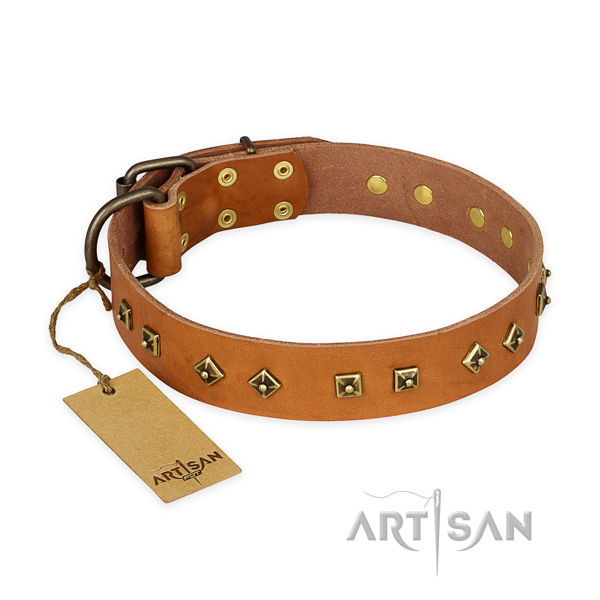 Embellished full grain genuine leather dog collar with durable traditional buckle