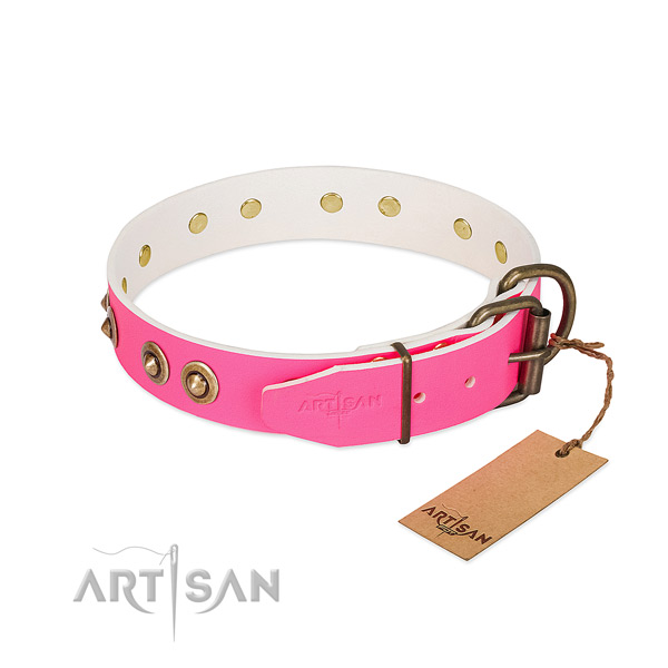 Full grain genuine leather dog collar with strong traditional buckle and embellishments