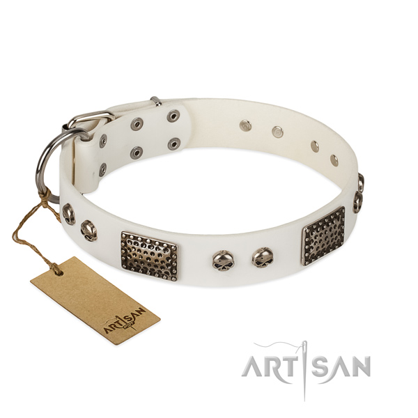 Adjustable genuine leather dog collar for everyday walking your dog