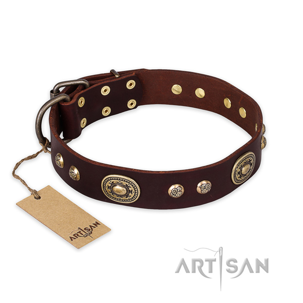 Significant full grain natural leather dog collar for basic training