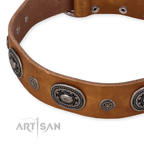 Best quality full grain leather dog collar handmade for your impressive dog