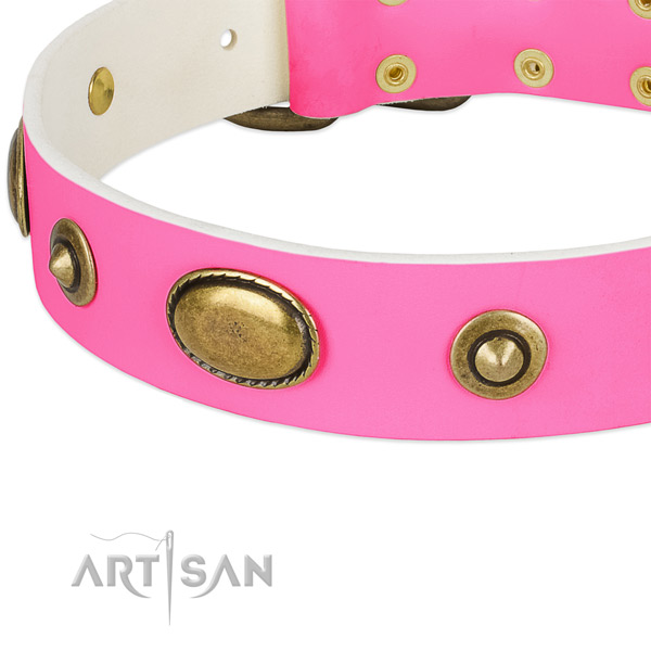 Rust resistant studs on genuine leather dog collar for your pet