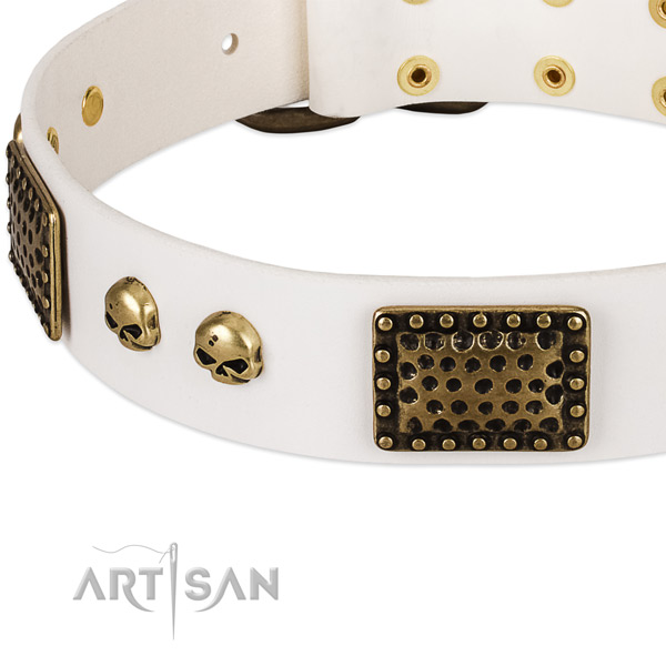 Corrosion proof D-ring on full grain genuine leather dog collar for your canine