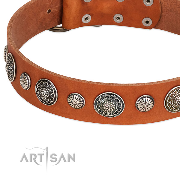 Full grain natural leather collar with corrosion proof traditional buckle for your handsome doggie