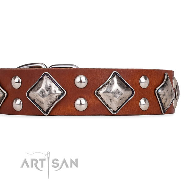 Full grain natural leather dog collar with extraordinary corrosion proof decorations