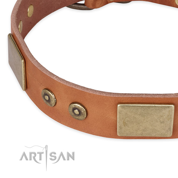 Strong embellishments on full grain leather dog collar for your doggie