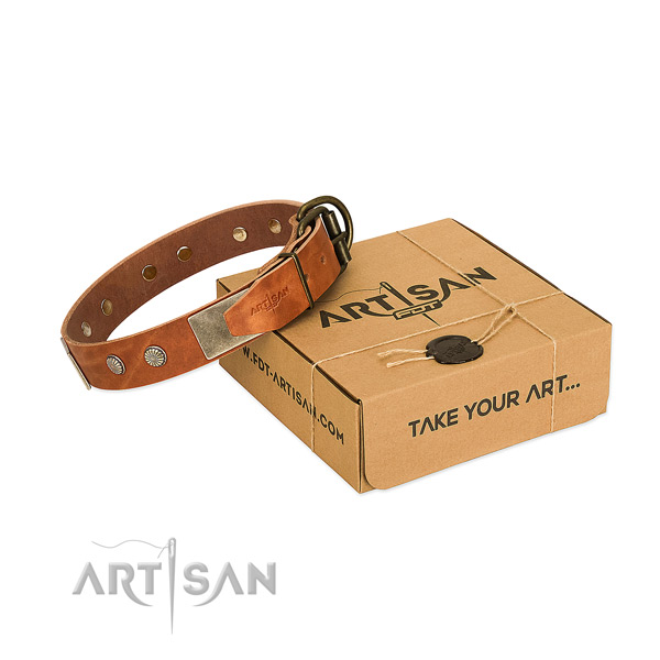 Corrosion proof studs on dog collar for comfortable wearing