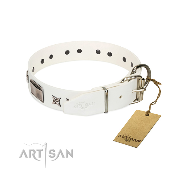 Remarkable collar of full grain leather for your attractive pet