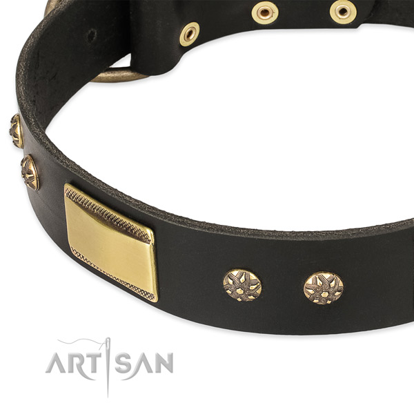 Reliable hardware on genuine leather dog collar for your doggie