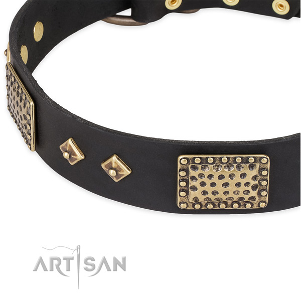 Rust resistant studs on full grain leather dog collar for your four-legged friend