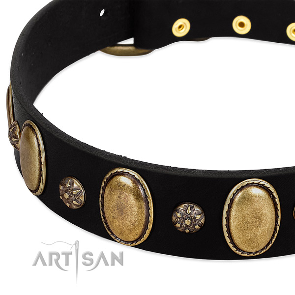 Daily use quality leather dog collar