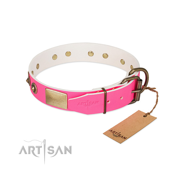 Corrosion proof traditional buckle on genuine leather dog collar for your pet