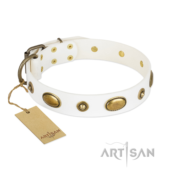 Extraordinary natural leather collar for your four-legged friend