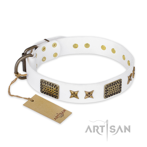 Stylish leather dog collar with corrosion proof traditional buckle