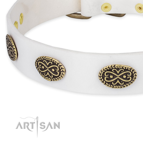 Designer genuine leather collar for your impressive four-legged friend