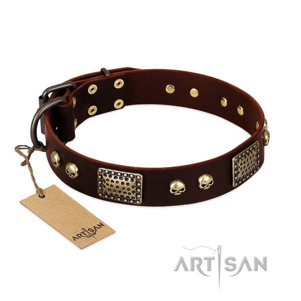 Easy adjustable full grain natural leather dog collar for stylish walking your doggie