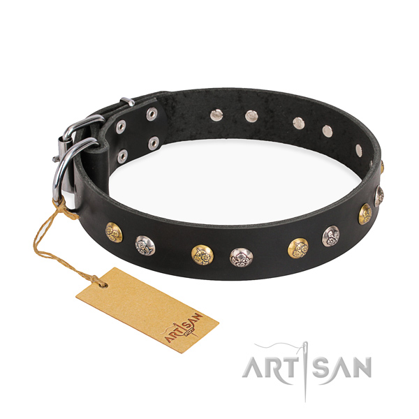 Everyday use exceptional dog collar with durable hardware